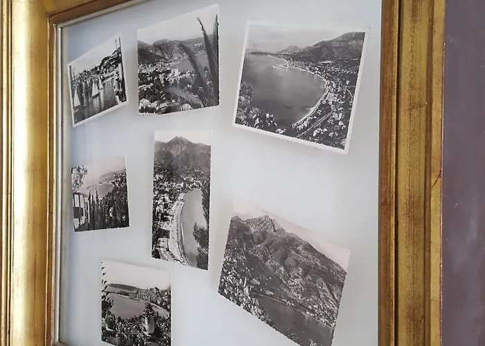 Bellavista Vieux 芒通